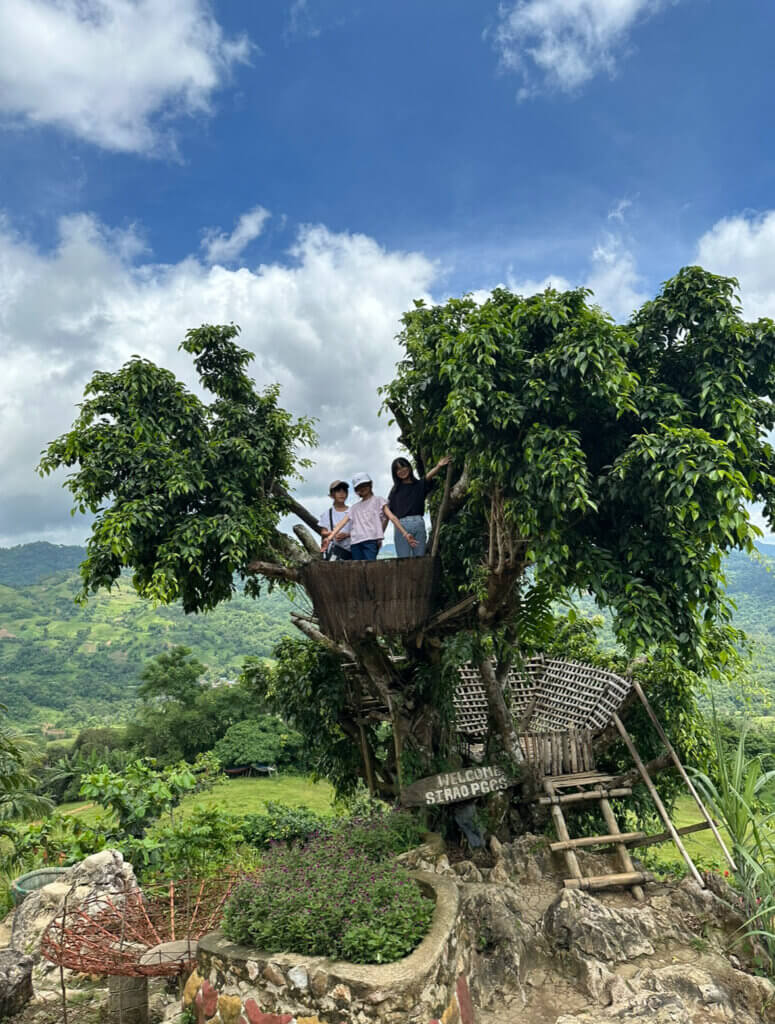 【英語がもっと好きになる】とっておきのセブ観光スポット5選!